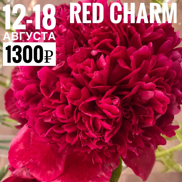 Сверкание рубинами